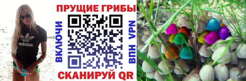 Псилоцибиновые грибы MAGIC MUSHROOMS Динская